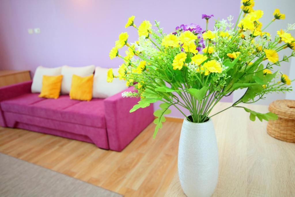 Flowers Apartments ทิมิชัวรา ภายนอก รูปภาพ